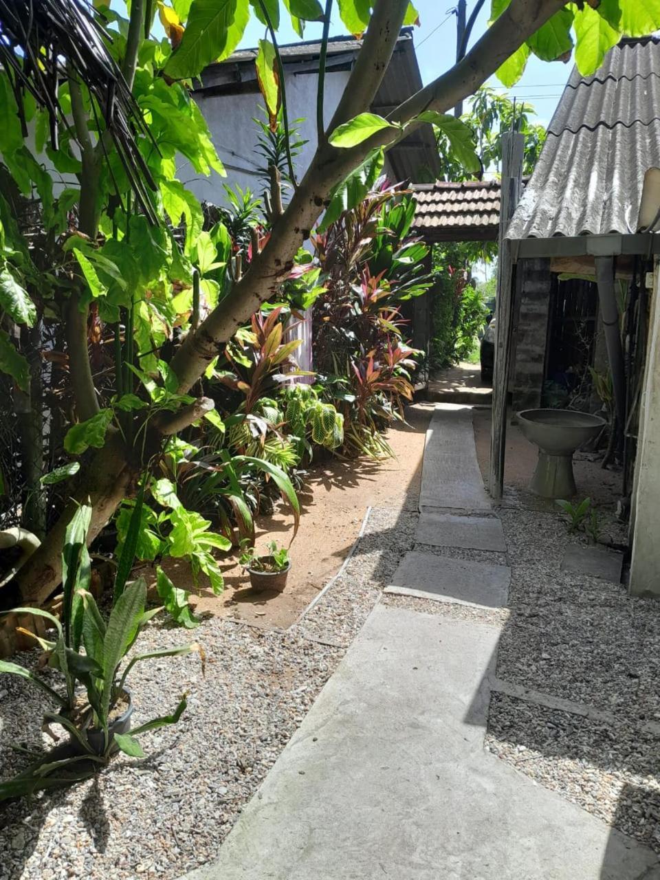 Bussa Brother'S Beach Home المظهر الخارجي الصورة